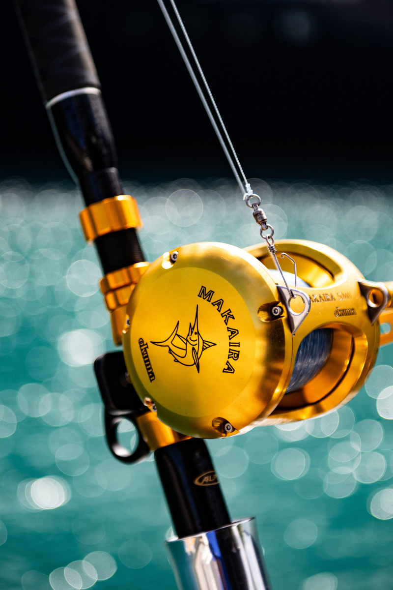Reeling Marlin